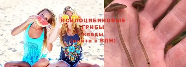 меф Алзамай