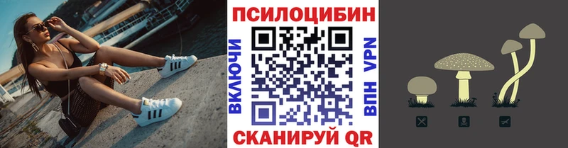 omg как войти  Любань  Псилоцибиновые грибы прущие грибы  что такое наркотик 